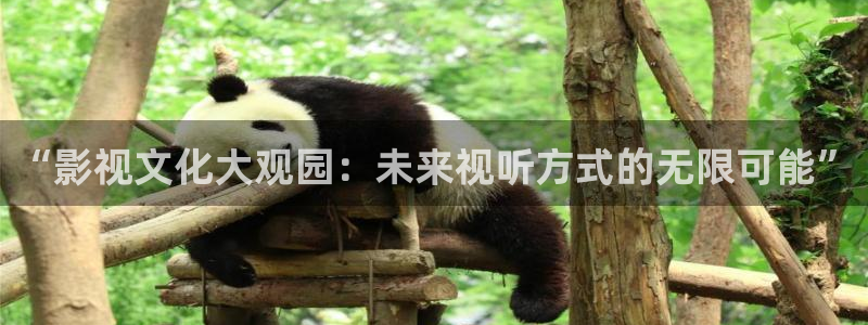 熊猫电影大全免费观看：“影视文化大观园：未来视听方式的无限可能”