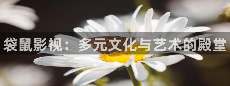 熊猫旅行：袋鼠影视：多元文化与艺术的殿堂