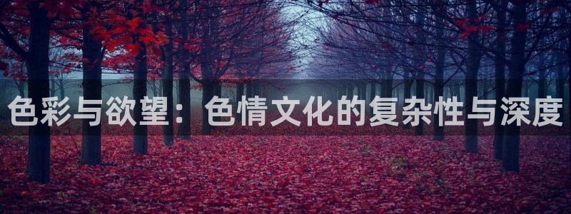 熊猫大片：色彩与欲望：色情文化的复杂性与深度