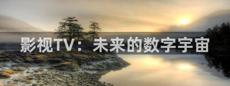 熊猫影视.：影视TV：未来的数字宇宙