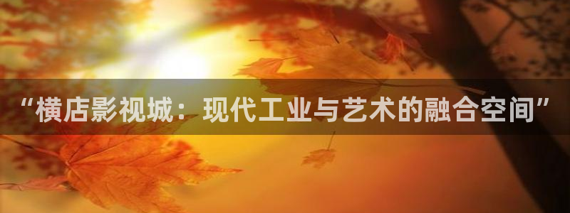 熊猫熊猫：“横店影视城：现代工业与艺术的融合空间”
