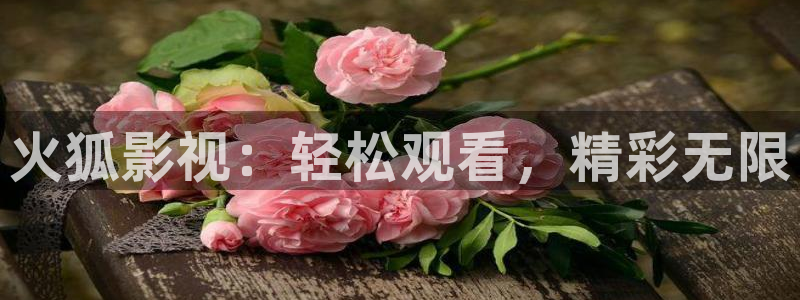 北京熊猫电视：火狐影视：轻松观看，精彩无限