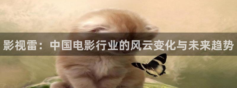 panda熊猫电视：影视雷：中国电影行业的风云变化与未来趋势