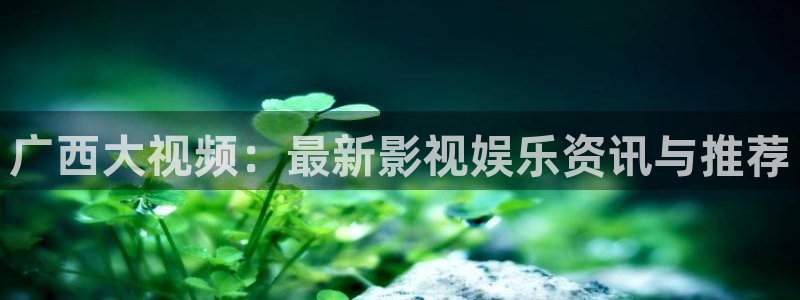 熊猫电影yy8y3免费看哪里：广西大视频：最新影视娱乐资讯与推荐