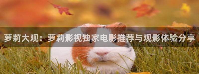 熊猫影院看片：萝莉大观：萝莉影视独家电影推荐与观影体验分享