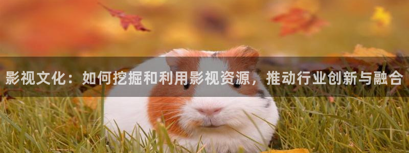 熊猫旅行：影视文化：如何挖掘和利用影视资源，推动行业创新与融合