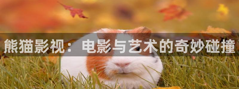 熊猫影院下载：熊猫影视：电影与艺术的奇妙碰撞