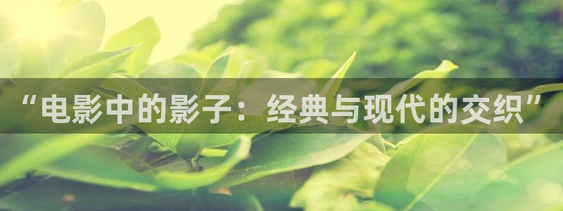 熊猫的视频：“电影中的影子：经典与现代的交织”
