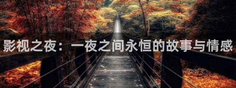 熊猫影院tv免费观看：影视之夜：一夜之间永恒的故事与情感