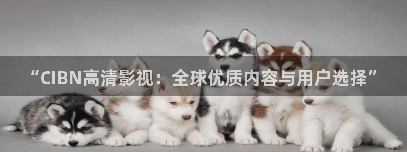熊猫电影免费观看入口在哪里：“CIBN高清影视：全球优质内容与用户选择”