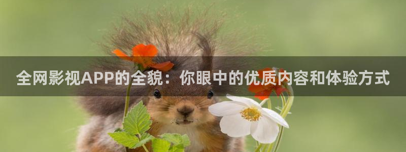 熊猫电影yy8y4免费观看：全网影视APP的全貌：你眼中的优质内容和体验方式