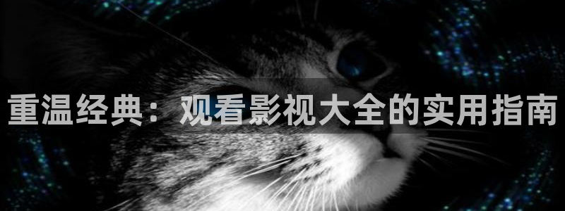 熊猫电影yy8y3免费播放：重温经典：观看影视大全的实用指南